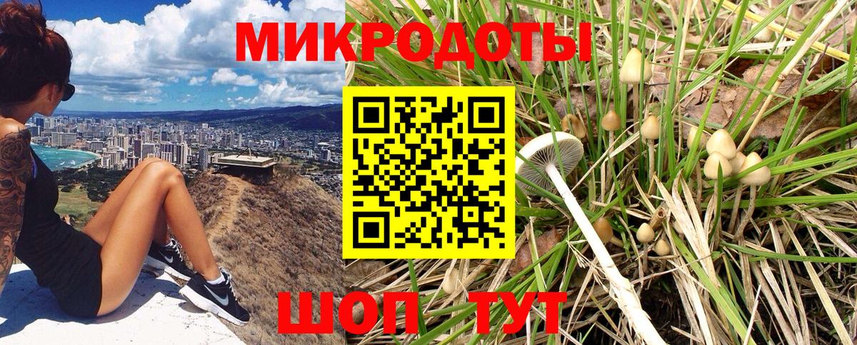 купить наркотик  Псилоцибиновые грибы GOLDEN TEACHER  Вход с VPN  Богородицк 